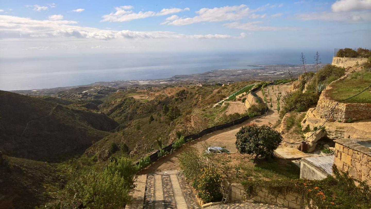 Las Vigas Arico Viejo Bagian luar foto