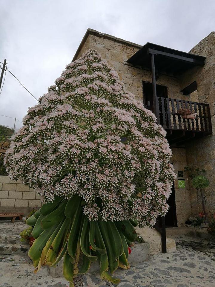Las Vigas Arico Viejo Bagian luar foto