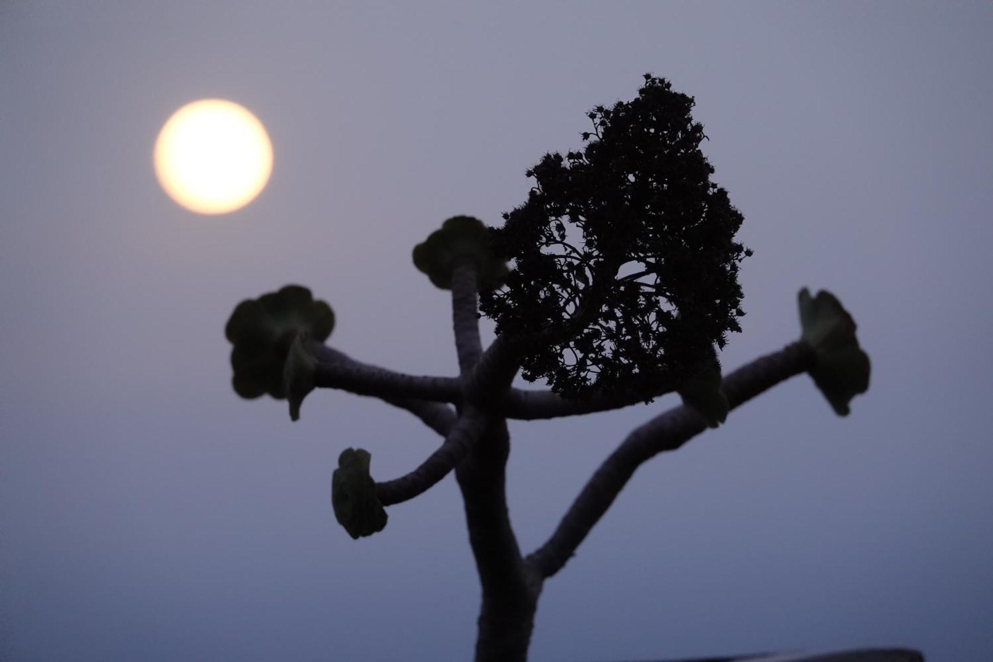 Las Vigas Arico Viejo Bagian luar foto