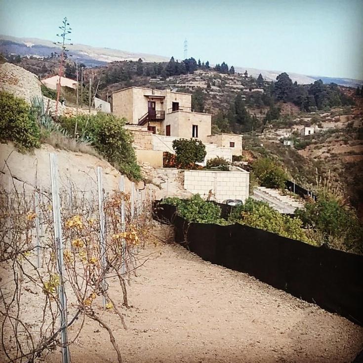 Las Vigas Arico Viejo Bagian luar foto